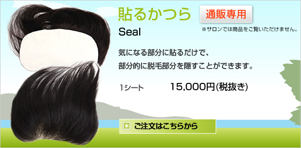 �\��^�C�v�̂���@�ʔ̐�p